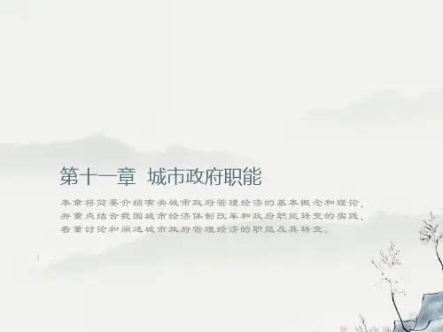 城市经济学第十一章