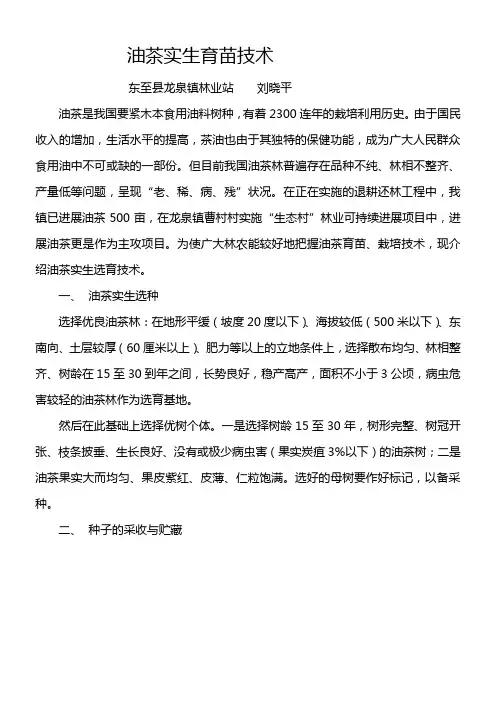 油茶实生育苗技术