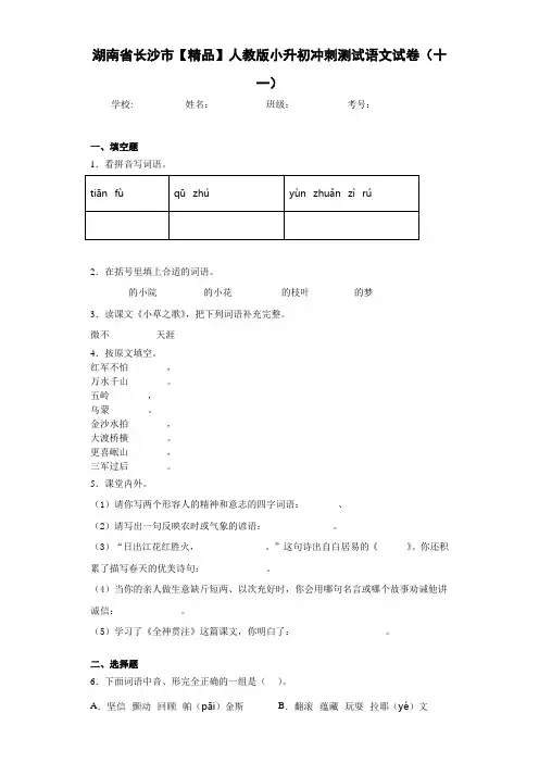 人教版小升初冲刺测试语文试卷(十一)(含答案解析)