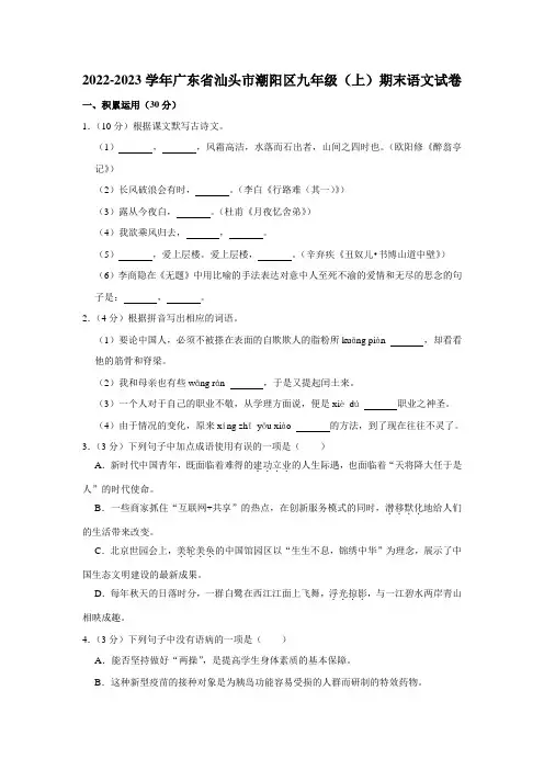 2022-2023学年广东省汕头市潮阳区九年级(上)期末语文试卷(含解析)