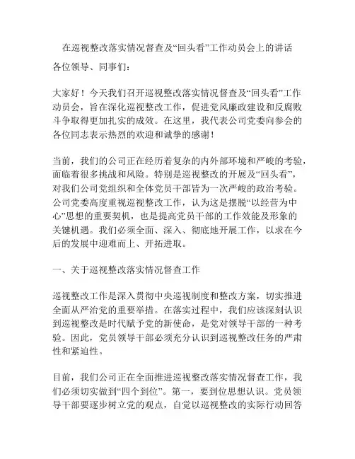 在巡视整改落实情况督查及“回头看”工作动员会上的讲话