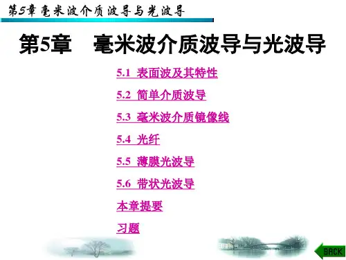微波技术基础课件第五章毫米波介质波导与光波导