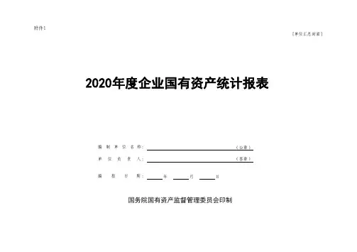 2020年度企业国有资产统计报表