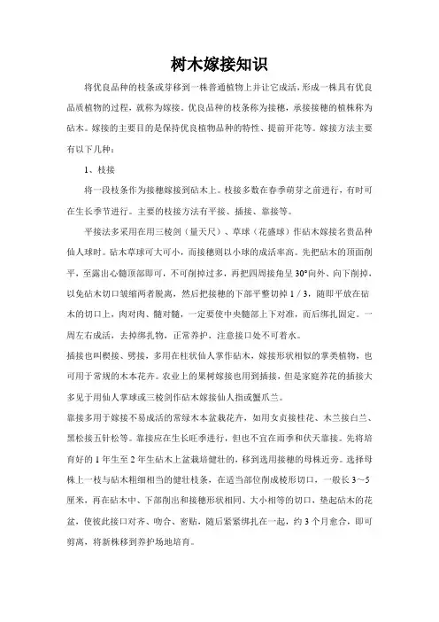 树木嫁接知识