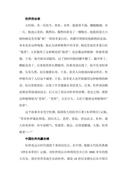 杜仲历史
