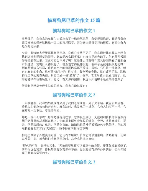 描写狗尾巴草的作文15篇