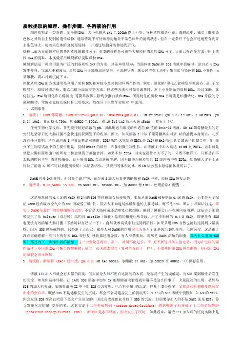 质粒DNA提取方法与原理