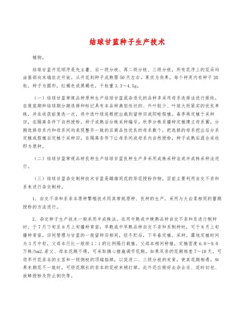 结球甘蓝种子生产技术