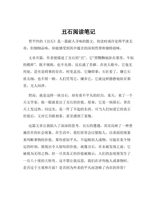 丑石阅读笔记