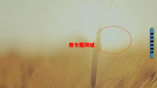 2018学年高中生物选修三课件：第1章 基因工程-微专题突破