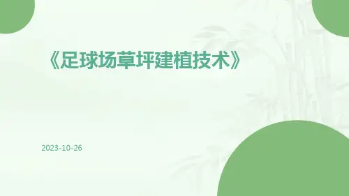 足球场草坪建植技术