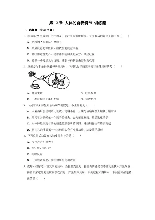 北师大版生物七年级下册第12章 人体的自我调节 训练题