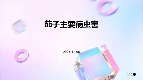 茄子主要病虫害