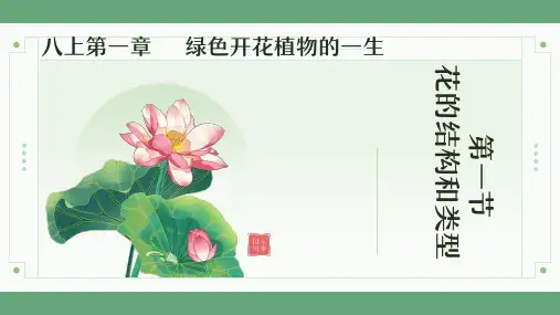 花的结构和类型ppt课件