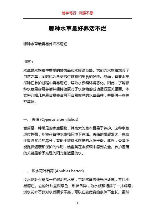 哪种水草最好养活不烂