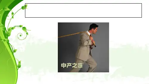 提高中等收入课件