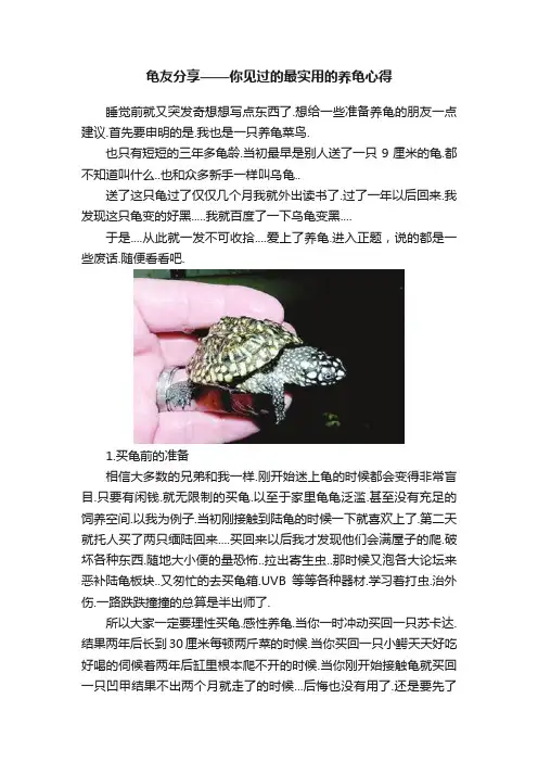 龟友分享——你见过的最实用的养龟心得