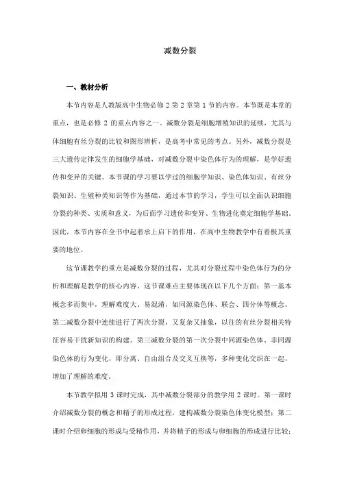 人教版高中必修二《减数分裂》生物教案