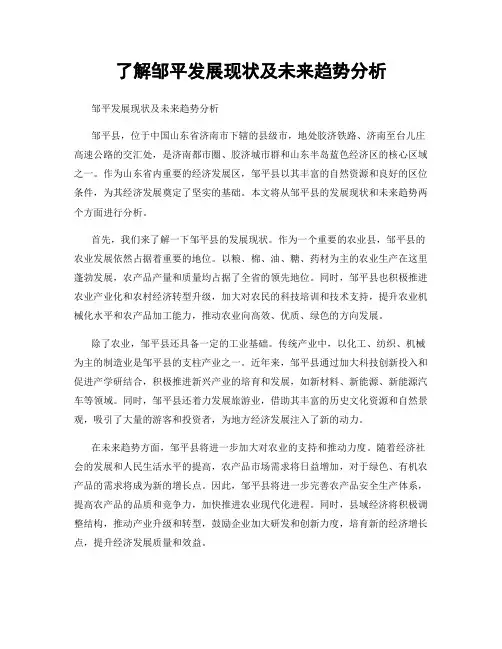 了解邹平发展现状及未来趋势分析