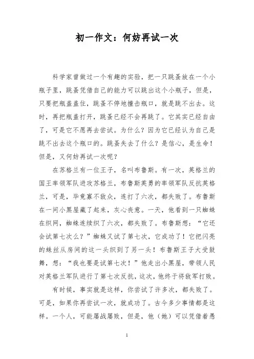 初一作文：何妨再试一次
