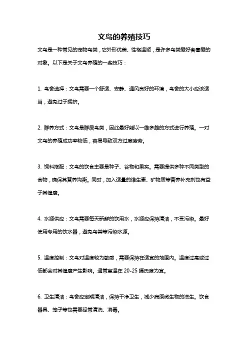 文鸟的养殖技巧
