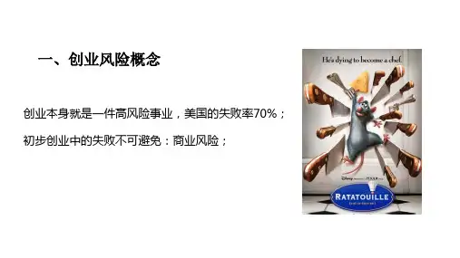 创业风险分析ppt课件