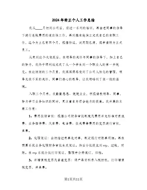 2024年转正个人工作总结(4篇)