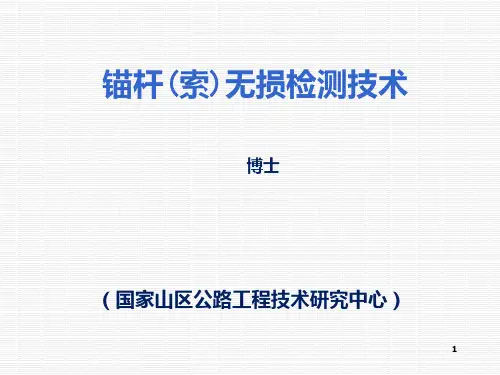 04锚杆(索)无损检测技术与仪器(含孔底器)PPT课件