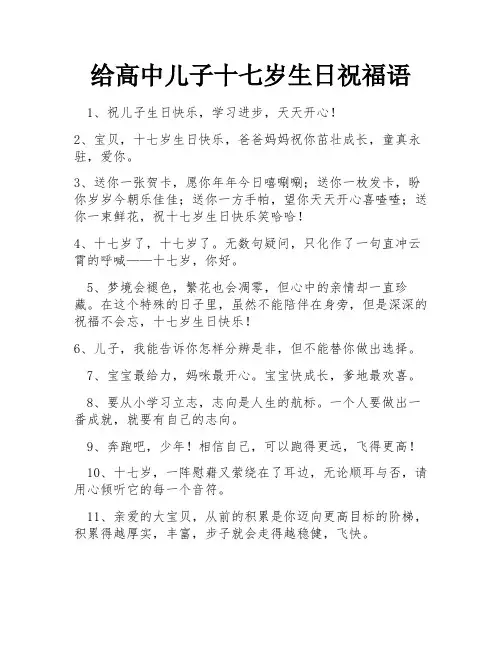 给高中儿子十七岁生日祝福语