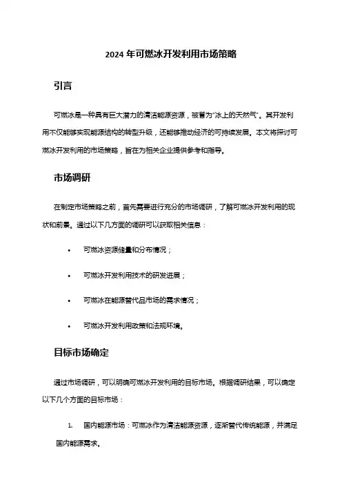 2024年可燃冰开发利用市场策略
