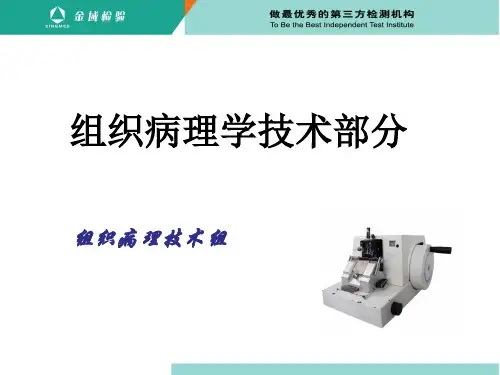 子宫内膜病理-病理技术概要精品文档