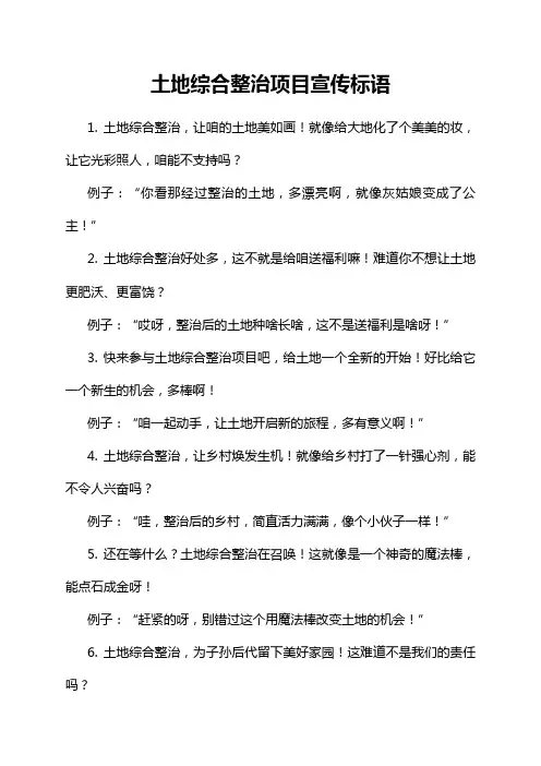 土地综合整治项目宣传标语
