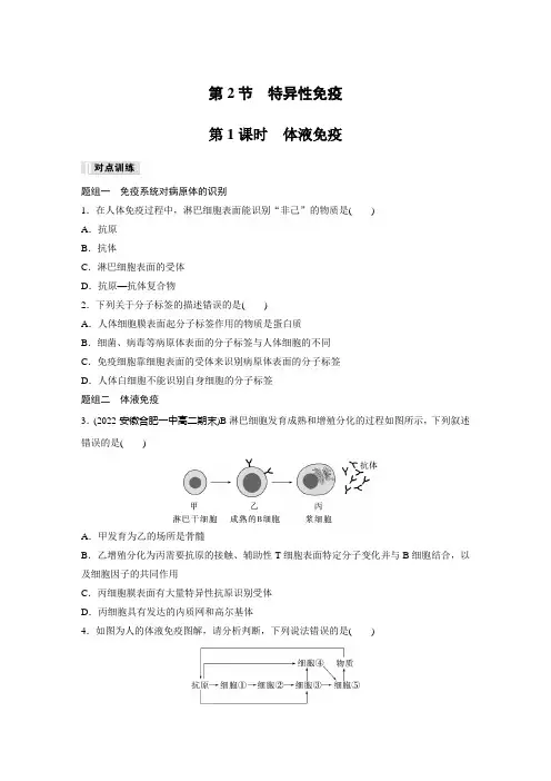 高中生物选择性必修一 练习卷  第4章 第2节 第1课时 体液免疫