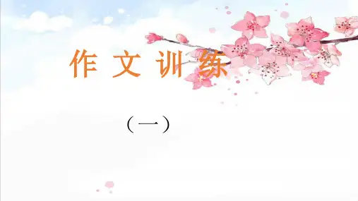 作文--起点(2017)精品PPT课件
