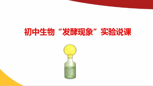 初中生物发酵现象实验说课PPT课件