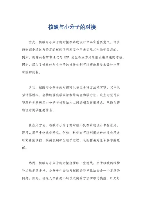 核酸与小分子的对接