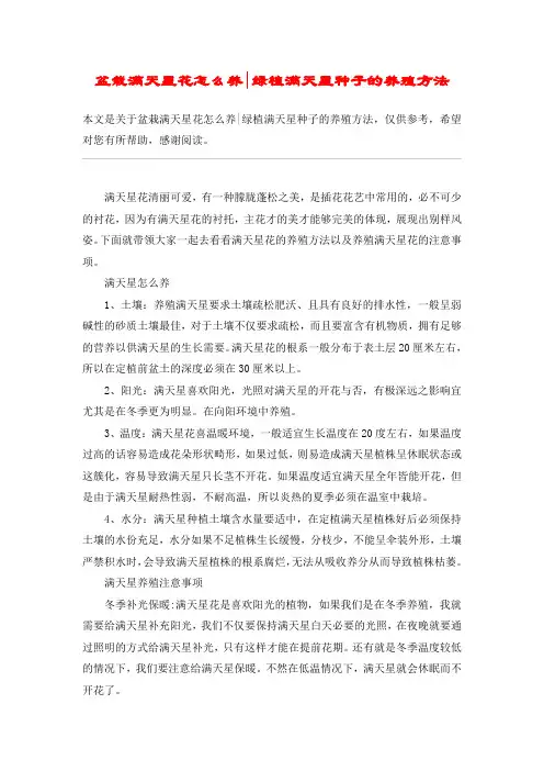 盆栽满天星花怎么养-绿植满天星种子的养殖方法