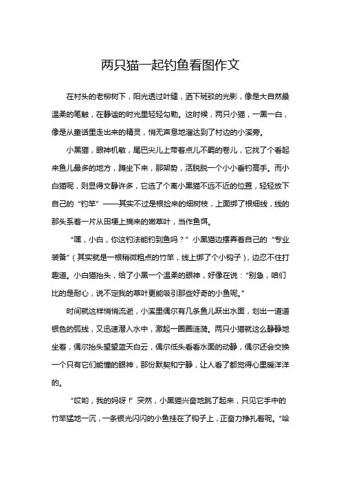 两只猫一起钓鱼看图作文