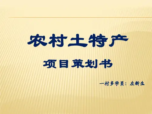 农村土特产创业项目策划书