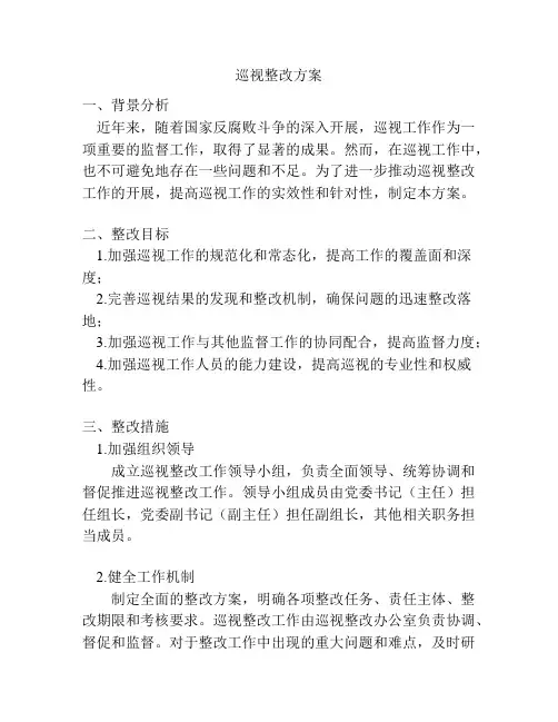 巡视整改方案