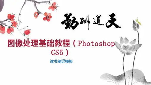 图像处理基础教程(Photoshop CS5)