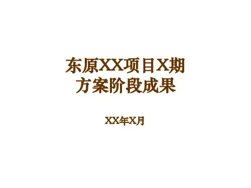 东原地产--项目方案阶段成果模板