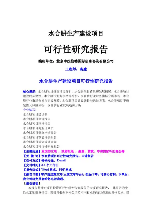 水合肼生产建设项目可行性研究报告word资料16页