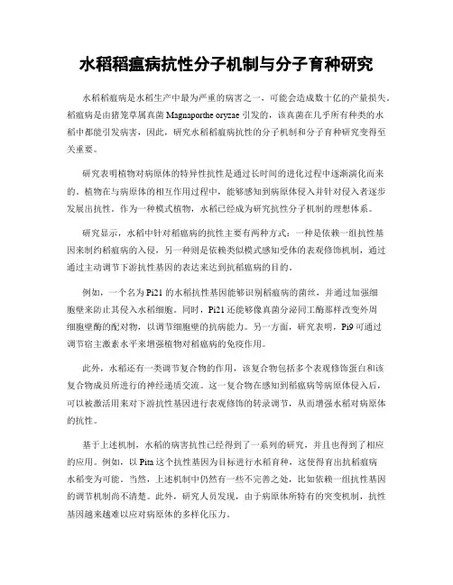 水稻稻瘟病抗性分子机制与分子育种研究