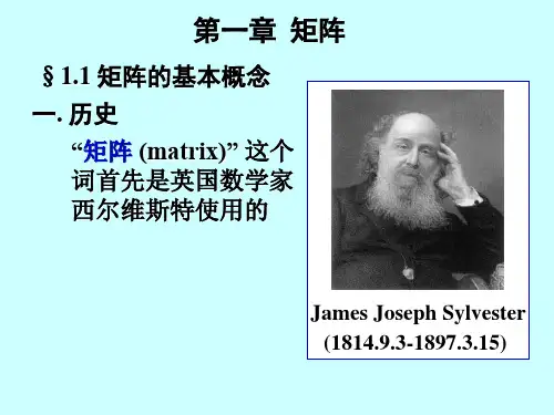 线性代数第一章 矩阵