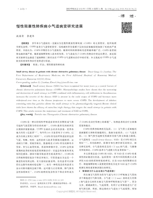 慢性阻塞性肺疾病小气道病变研究进展