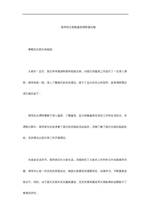 领导到支部做基层调研通讯稿
