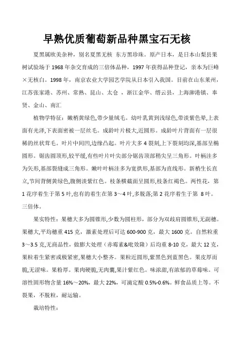 早熟优质葡萄新品种黑宝石无核