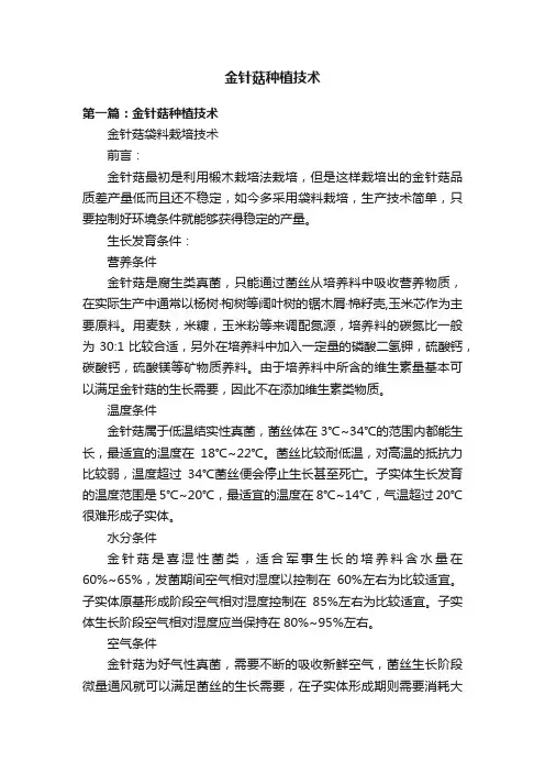 金针菇种植技术