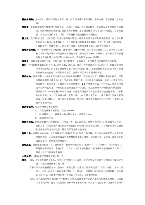人体形态学知识点(名词解释)